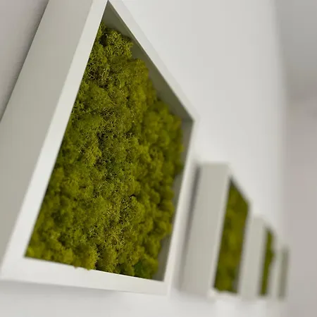 Barik Lak - érezd Jól Magad! Családbarát